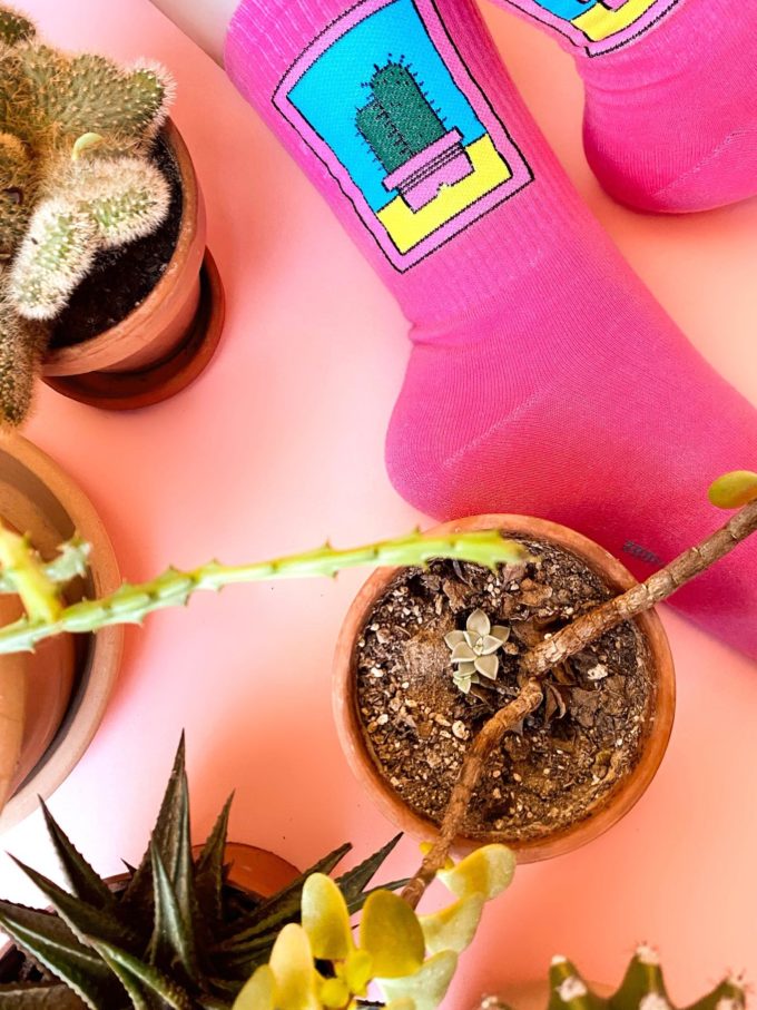 CACTUS Socks